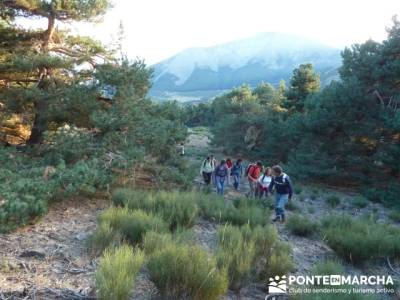 Pico Perdiguera, grupo trekking comunidad de madrid; madrid singles